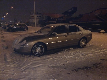 herschaalde kopie van thesis elegante sneeuw.jpg