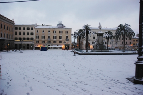 dsc_2451.jpg