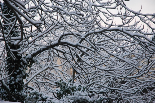 dsc_2467.jpg