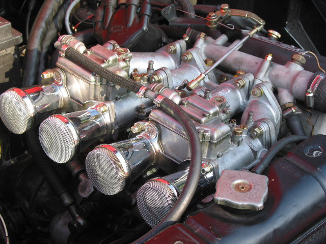 marelli19.jpg