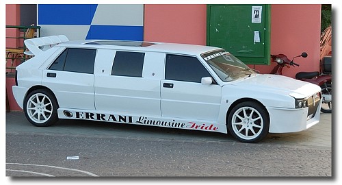dsc_2505-vi[1].jpg