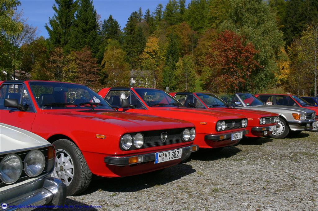 p1140056 (large).jpg