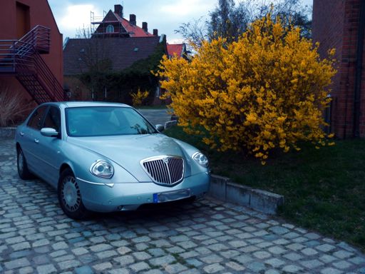 p1000919_small.jpg