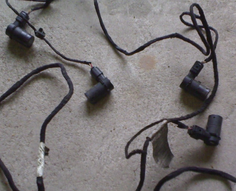 24012009519.jpg