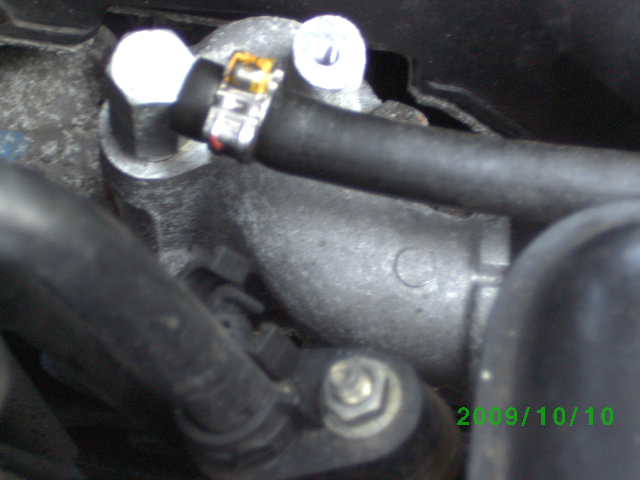 bild0062.jpg