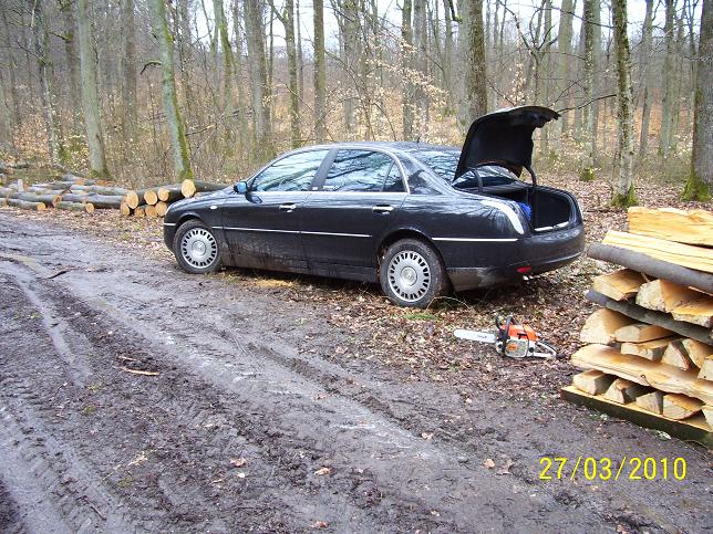 20100327_thesis als forstfahrzeug-4.jpg