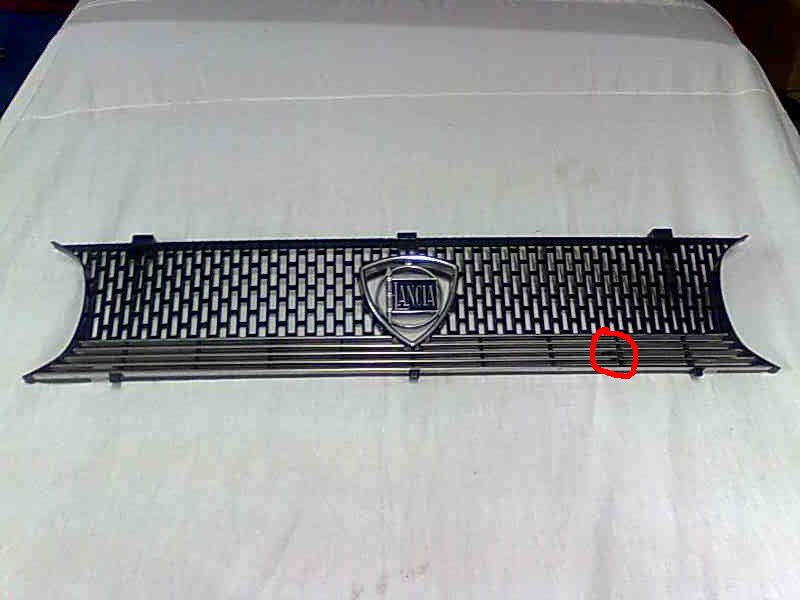 immag0120_cerchietto.jpg