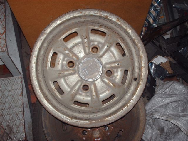 cerchio fulvia.jpg