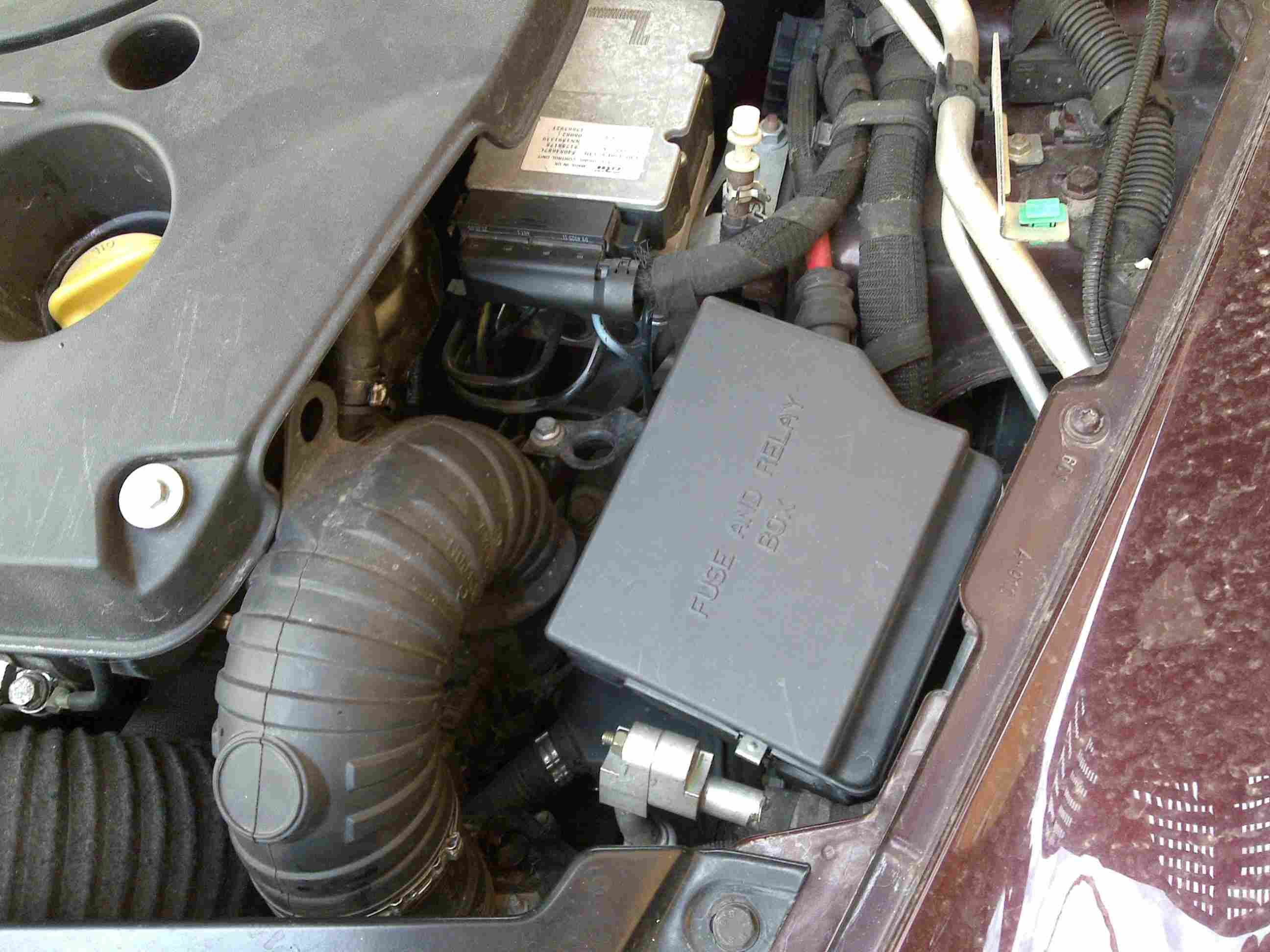 copia di 15052010044.jpg