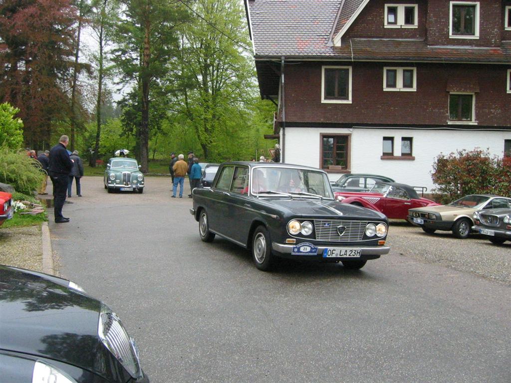 022 (medium).jpg