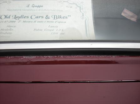 fulvia4.jpg