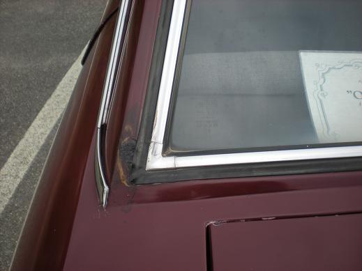 fulvia9.jpg