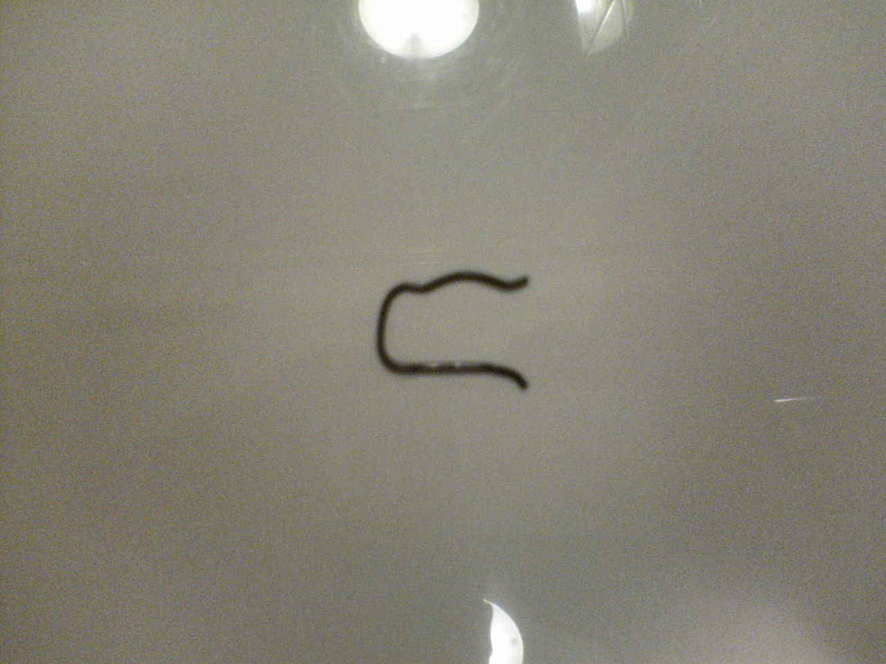 dsc00001_9.jpg