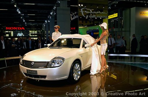 fulvietta2003.jpg