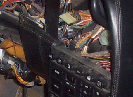 copy of cam_6783.jpg