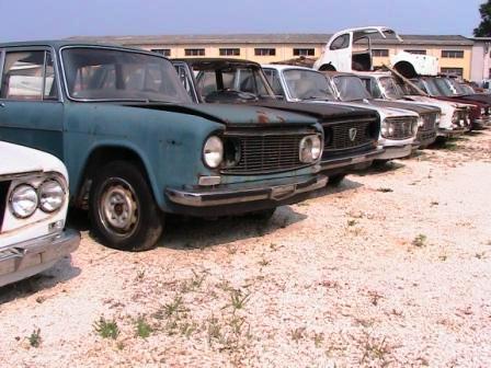 fulvia.jpg
