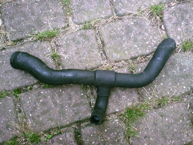 pic01077.jpg