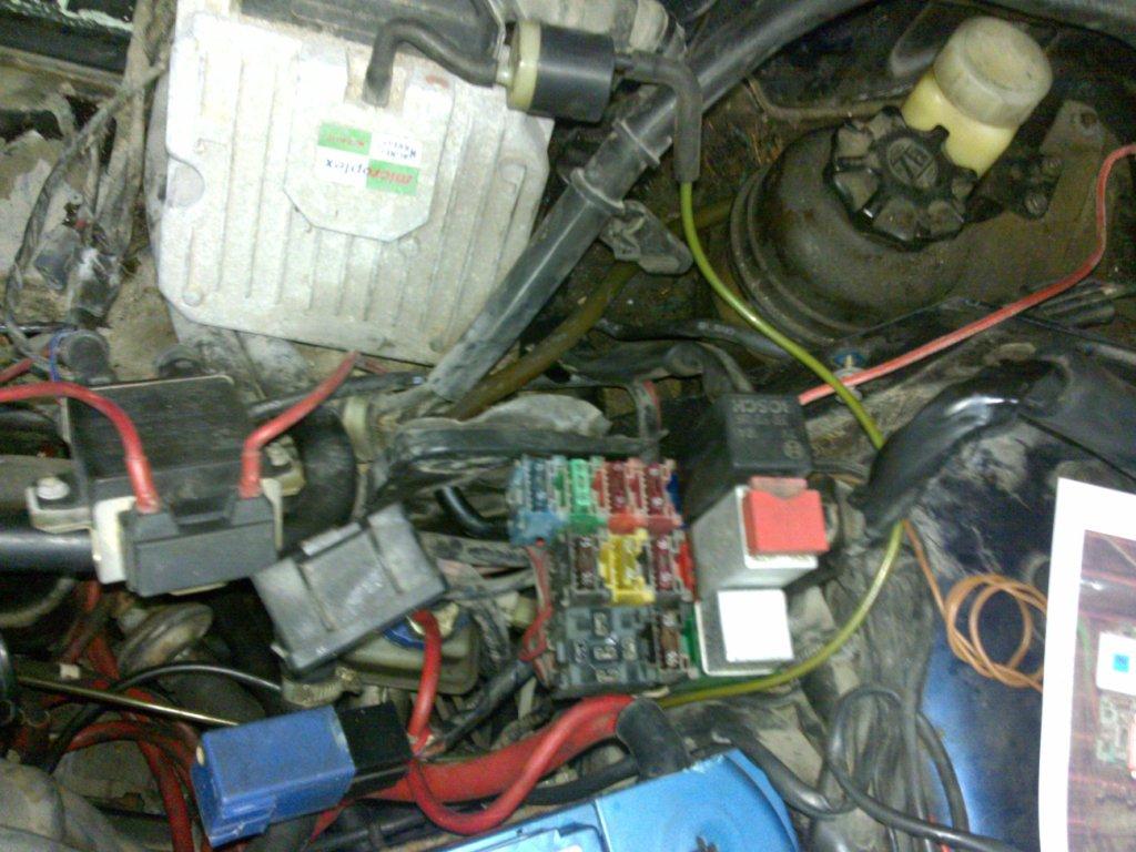 11082010782.jpg