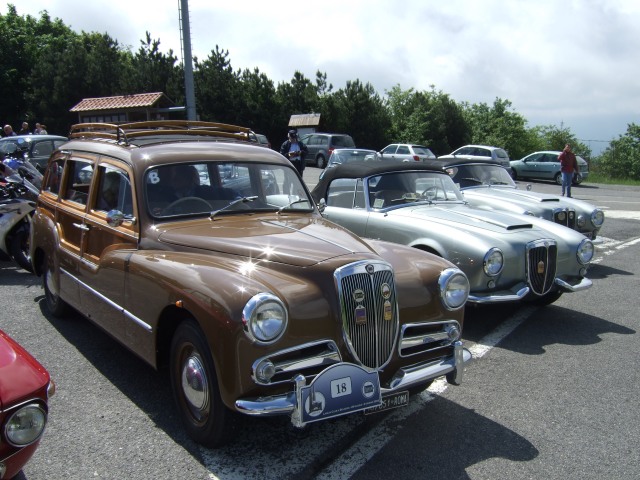ibologna 2008.jpg