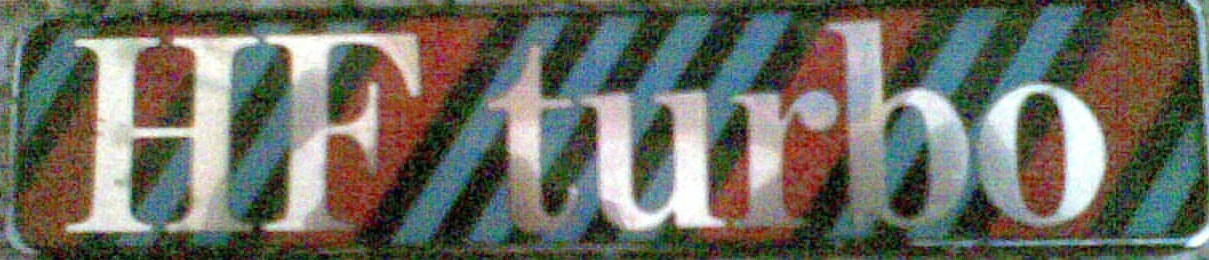 immag100.jpg
