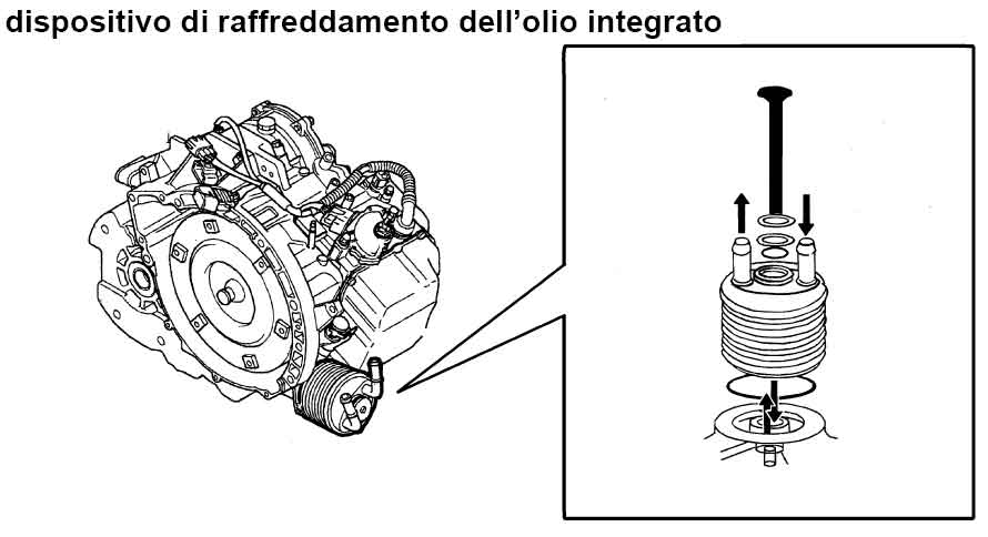 disp_raff_cambio.jpg