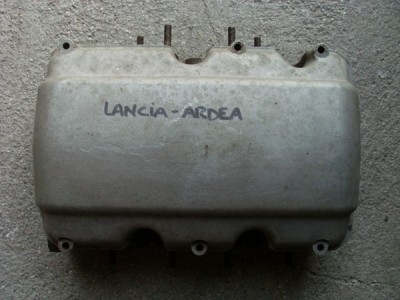 ardea 1.jpg
