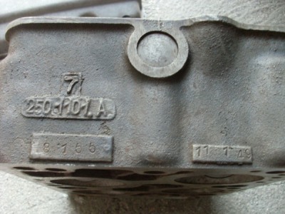 ardea 4.jpg
