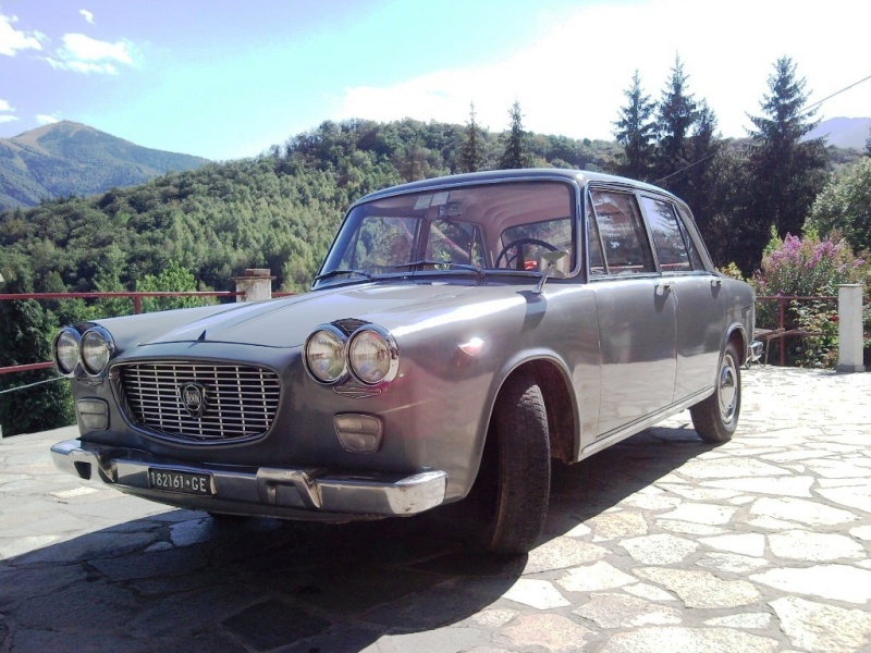 flavia1.jpg