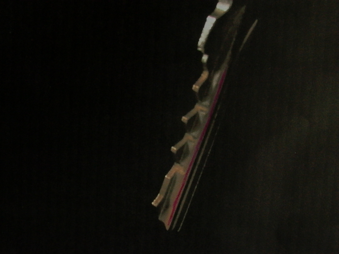 l1010287.jpg
