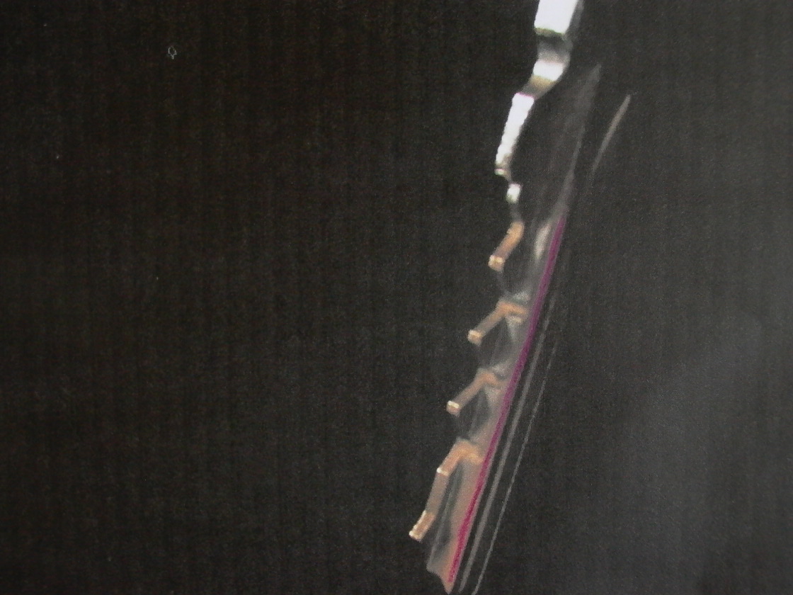 l1010284.jpg