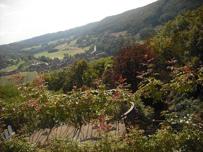 foto 12.jpg