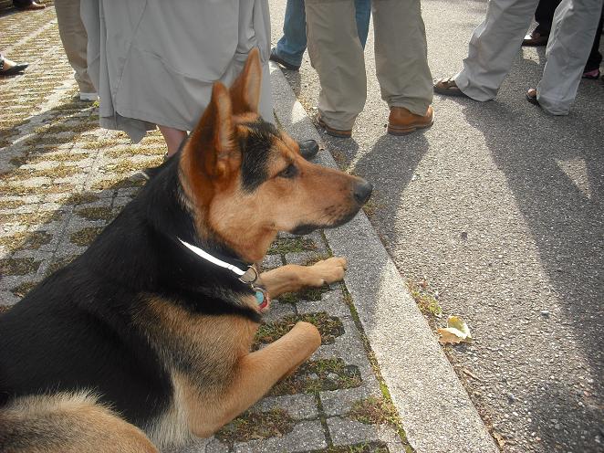 foto 23.jpg