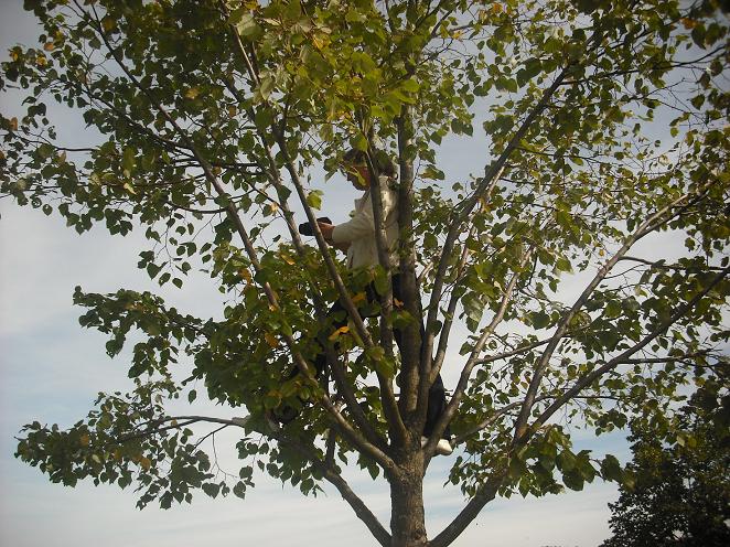 foto 25.jpg