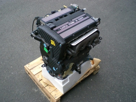 immagine 006.jpg