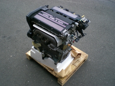 immagine 009.jpg