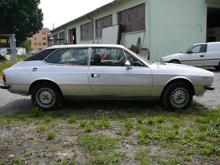 beta profilo sx.jpg