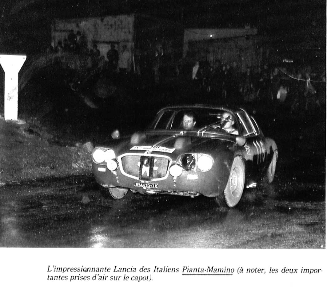 1964tdc-flavia zprot-pianta.jpg