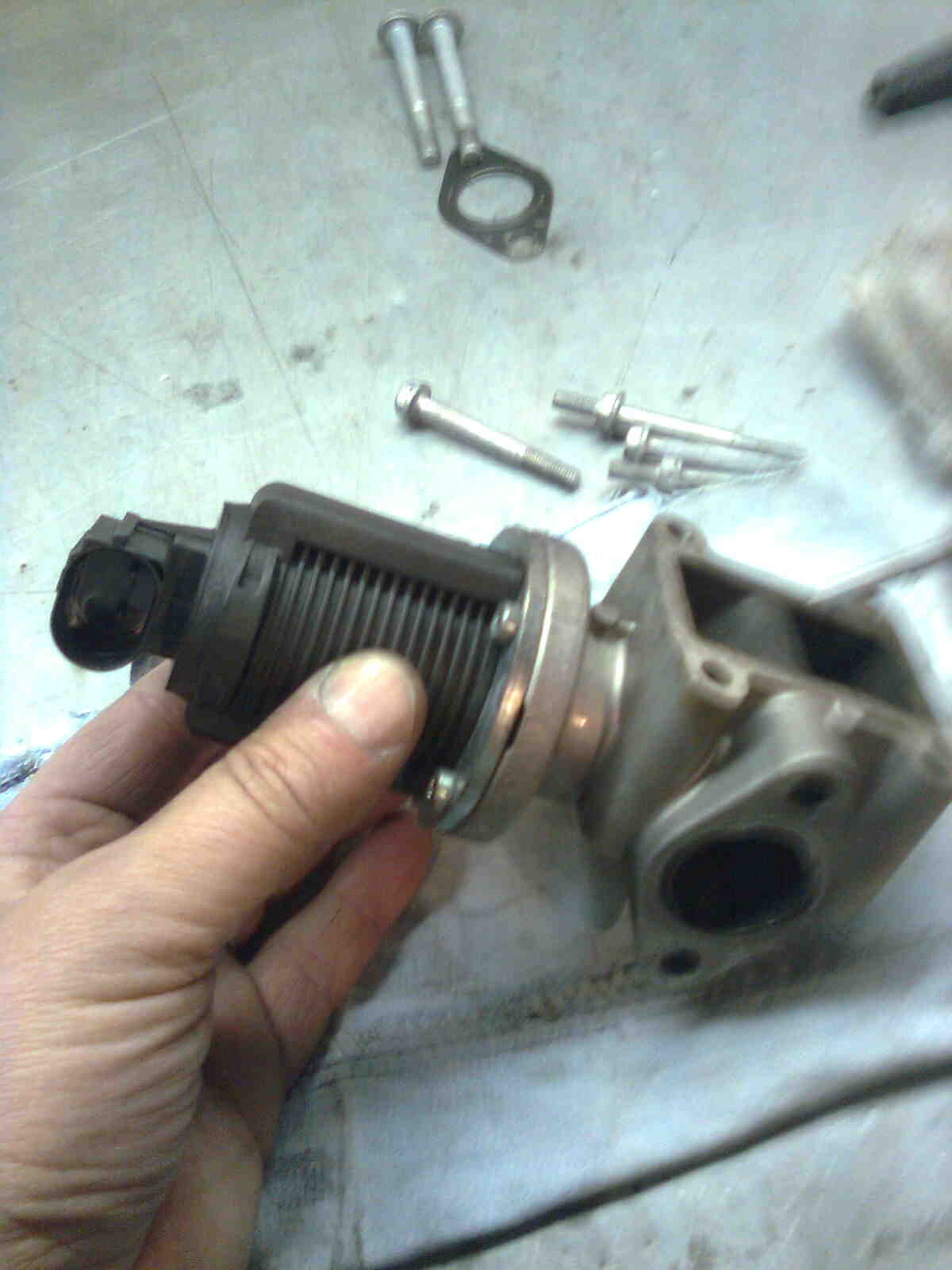 immag0071.jpg