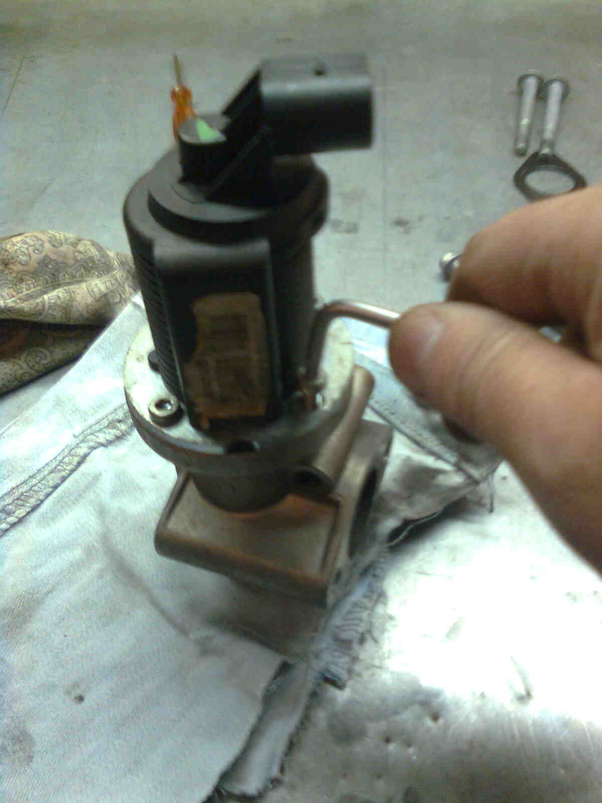 immag0070.jpg