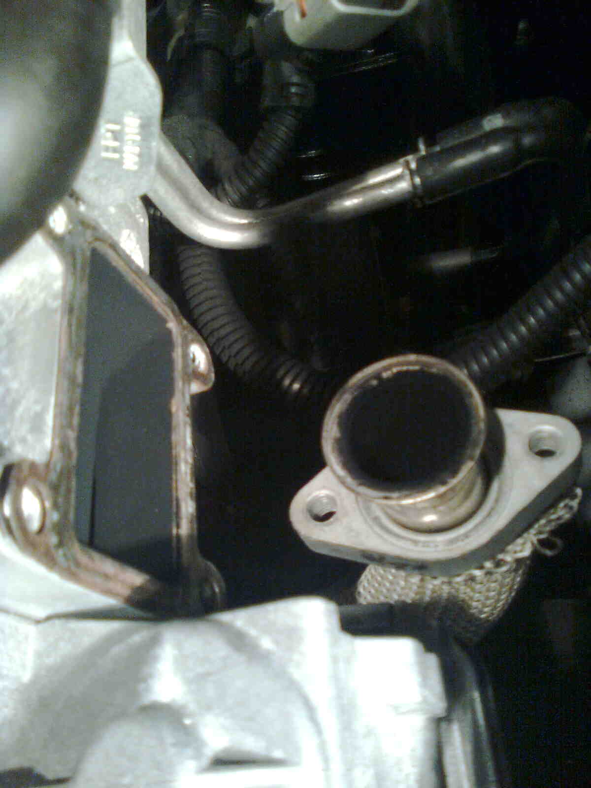 immag0066.jpg
