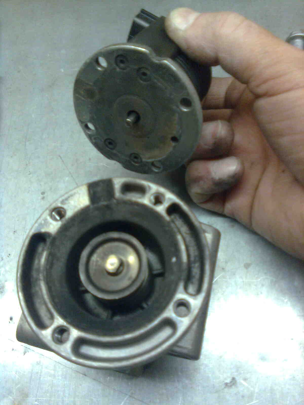 immag0068.jpg