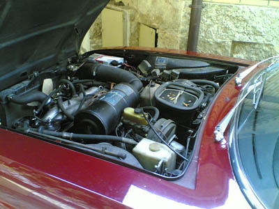 flavia2.jpg
