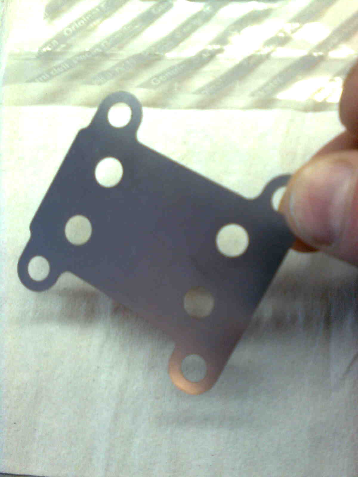 immag0075.jpg