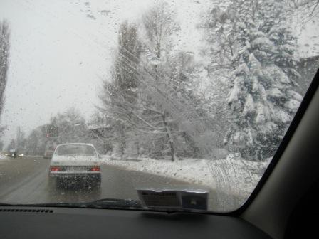 immaginegres 066.jpg