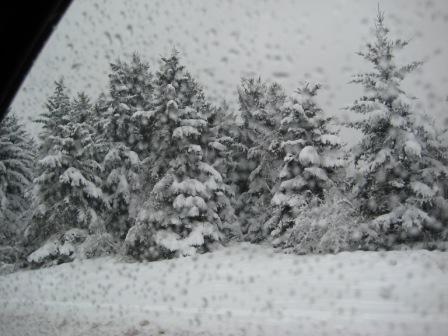 immaginegres 067.jpg