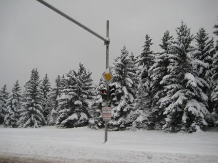 immaginegres 068.jpg