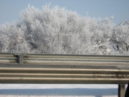 immaginegres 070.jpg