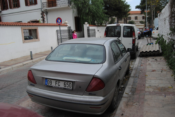 coda tempra2.jpg