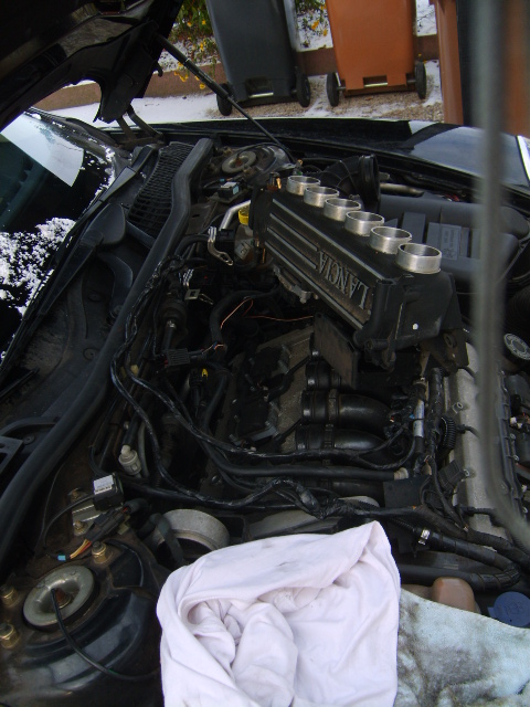 s5001656.jpg