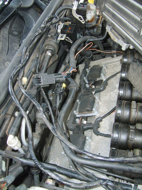 s5001657.jpg